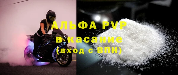 ПСИЛОЦИБИНОВЫЕ ГРИБЫ Бородино
