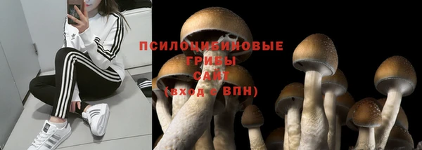 MDMA Premium VHQ Бронницы