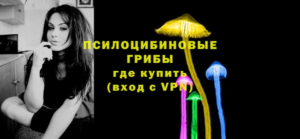 ПСИЛОЦИБИНОВЫЕ ГРИБЫ Бородино