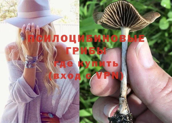 MDMA Premium VHQ Бронницы