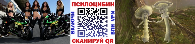 закладки  Конаково  Галлюциногенные грибы MAGIC MUSHROOMS 