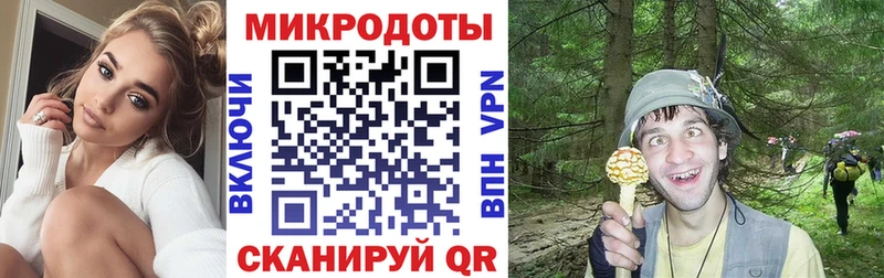 Галлюциногенные грибы Cubensis Конаково
